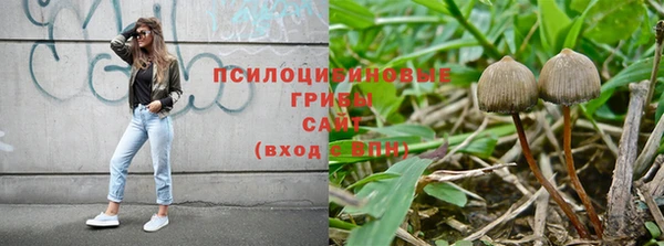 крисы Абинск