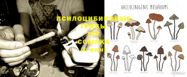 mix Абаза