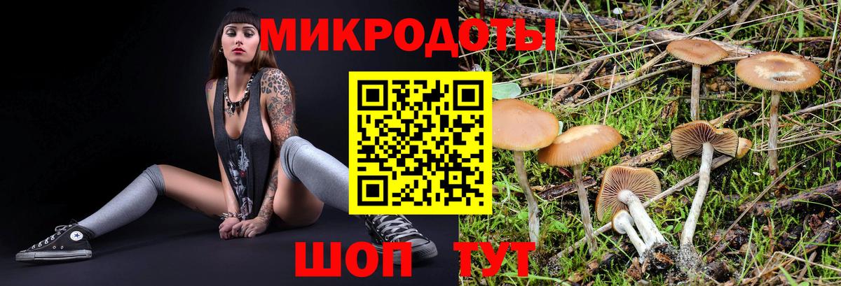 Галлюциногенные грибы ЛСД Барнаул